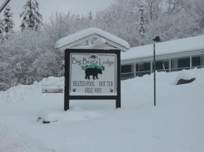Гостиница Big Bears Lodge  Запад Довер